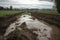 farm field with runoff from recent rain storm, rivers and streams visible in the background