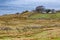 Farm field with sheeps, lake and vegetation at Western way trail in Lough Corrib