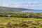 Farm field and stone wall with Farms and houses in the Fanore vi