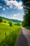 Farm fields along a dirt road in the rural Potomac Highlands of