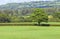 Farm fields, hill with english village