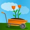 Farm flower wheelbarrow concept banner, cartoon style