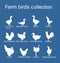 Farm fowl birds collection vector silhouette illustration isolated on blue background. Domestic poultry