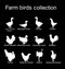 Farm fowl birds vector silhouette illustration isolated on black background. Domestic poultry.