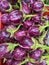 Farm fresh Brinjal stacked on top of each other in a market