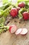 Farm fresh or homegrown radishes being sliced