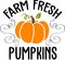 Farm Fresh Pumpkins. Thanksgiving day. Thankful phrases