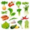 Farm fresh vegetables. Vector flat cartoon illustration. Isolated celery, tomato, brussels cabbage, peas, leek, beans