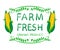 `Farm fresh` words with corn. Typography elements. VECTOR vignettes on white