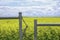 Farm gate with Canola field behind it