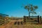 Farm gate with cattle guard and barbed wire fence