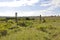 Farm gate by a prairie