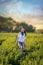 Farm girl and Weimaraner dogs in a green field