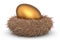 Farm gold egg in bird nest on white background