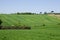 Farm with Green Fields in Tuscany, Italy