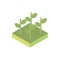 Farm growth plants harvest agriculture isometric icon