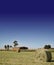 Farm and hay bale on the prairie