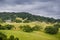 Farm on the hills of south San Francisco bay, Gilroy, California