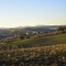 Farm in the hills in the warm light of sunset. Countryside and agriculture in winter