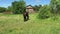 Farm horse grazing in a green field