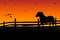 Farm horse grazing at meadow behind wooden fence. Sunset evening scene on ranch.