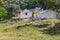 Farm house and cork tree in Santiago do Cacem