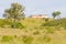 Farm house with cow, Cork tree forest and Esteva flowers in Vale