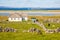 Farm house and field with stone walls and beach, Galway bay in background