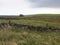 Farm house, fields and walls