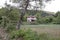 Farm house in Zarouhla village. Acahia, Greece. Greek landscapes