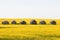 Farm huts canola field agriculture landscape