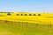 Farm huts canola field agriculture landscape