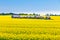 Farm huts canola field agriculture landscape