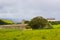 Farm labourer`s cottages beside the walled garden at Mussenden House