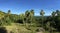 Farm land with palmtrees panorama in the hills of Anda
