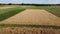 Farm land, top view. Fields of ripe barley and oats from a bird`s eye view.