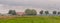 Farm landscape with flying geese