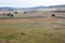 Farm landscape Tasmania