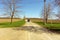 A farm lane in the spring