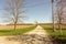 A farm lane in the spring