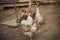 Farm life, chickens. hens, rooster