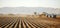 Farm machinery harvesting Idaho potatoes.