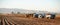 Farm machinery harvesting Idaho potatoes.