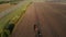 Farm machinery harvesting potatoes. Farmer field with a potato crop. Shooting from the air.