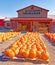 farm market with many orange pumpkins on pallets and hay bales in early Fall