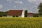 Farm in May with field, Osnabrueck Land region, Lower Saxony, Germany