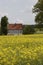 Farm in May with field, Osnabrueck Land region, Lower Saxony, Germany