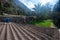 Farm in the mountain villages of Oman