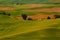 Farm Nestled In The Palouse Hills