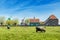 Farm in Netherlands. Dutch windmill in fresh Farm field.